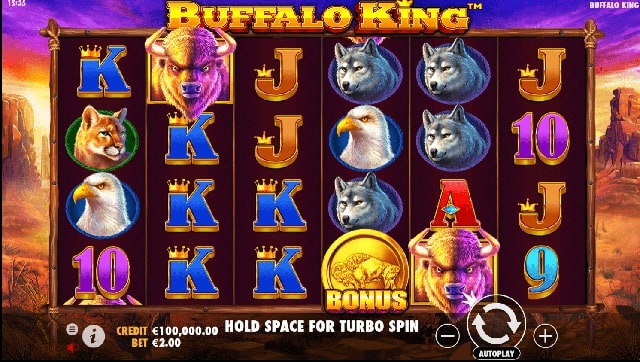 buffalo king 1