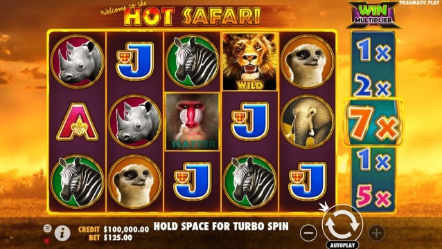 hot safari 1