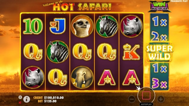 hot safari 5