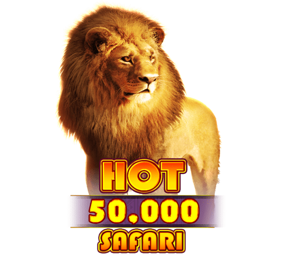 hot safari 50000