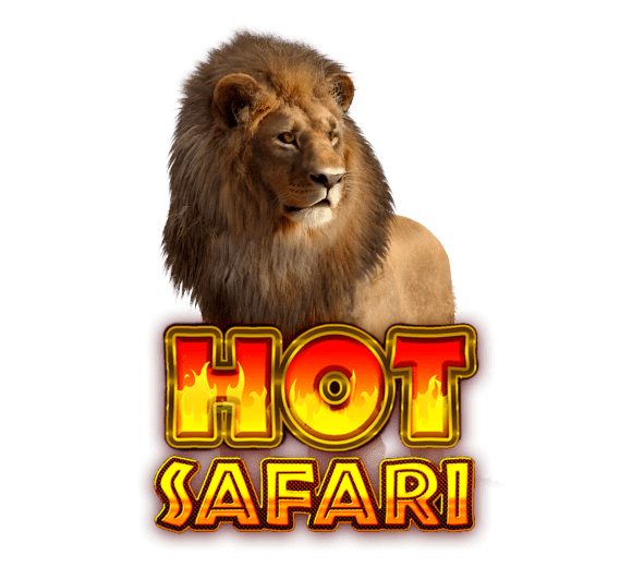 hot safari