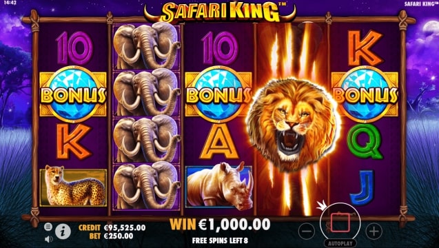 safari king 4